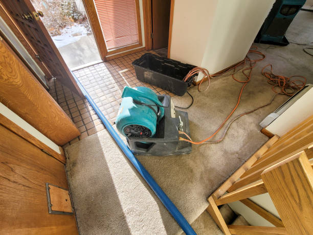 Best Commercial water damage restoration  in Montz, LA